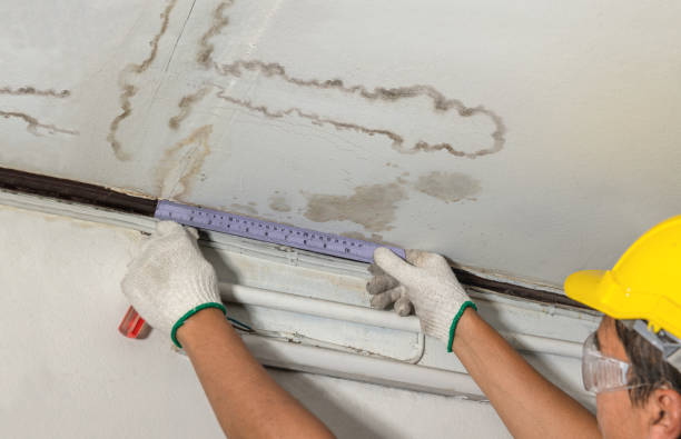 Reliable Burst Pipe Cleanup contractor in Sharon, TN by Water Damage Irwin